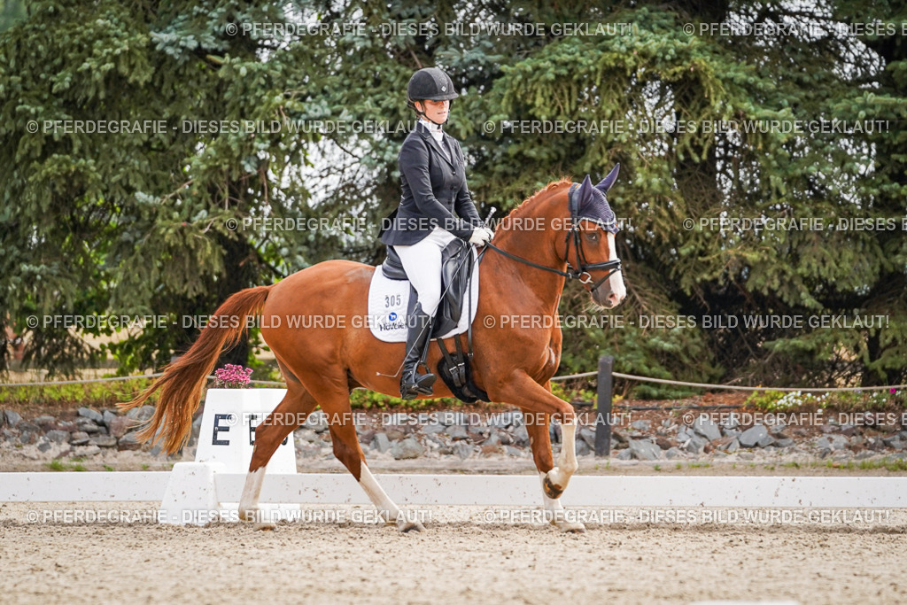 DSC01763 | Pferdegrafie