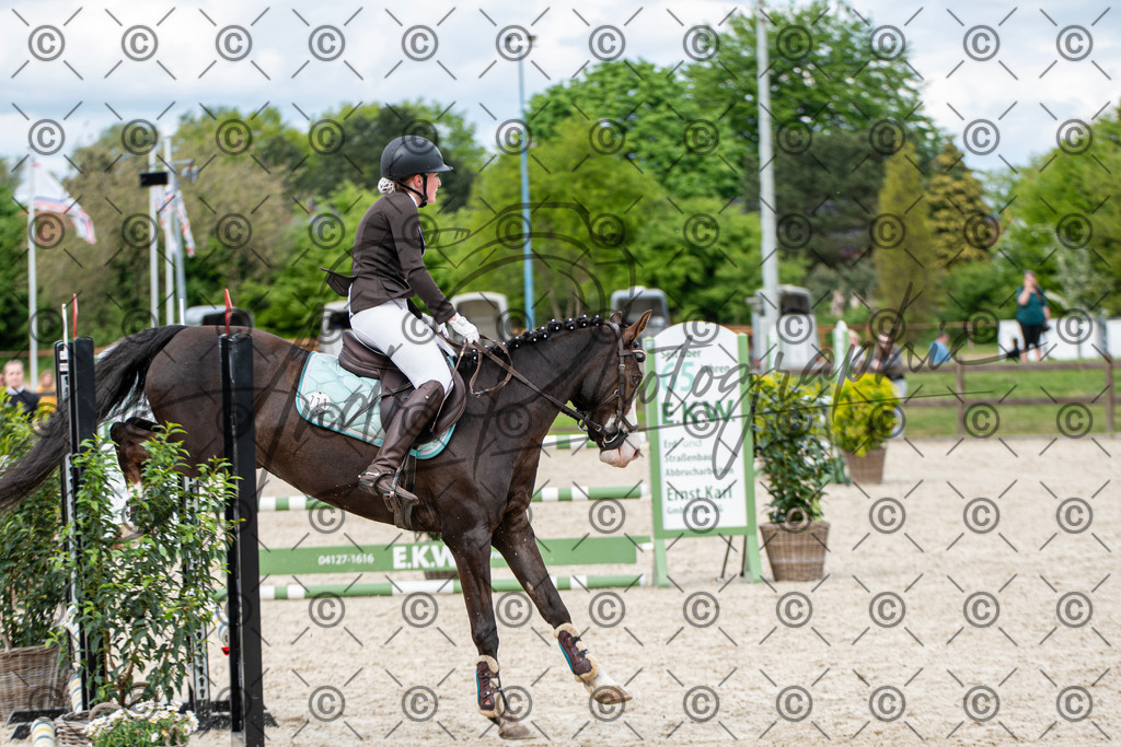 KPT_6306 | andre_photographic