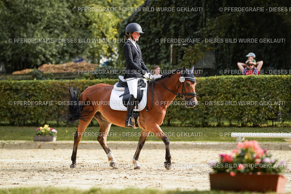 DSC04530 | Pferdegrafie