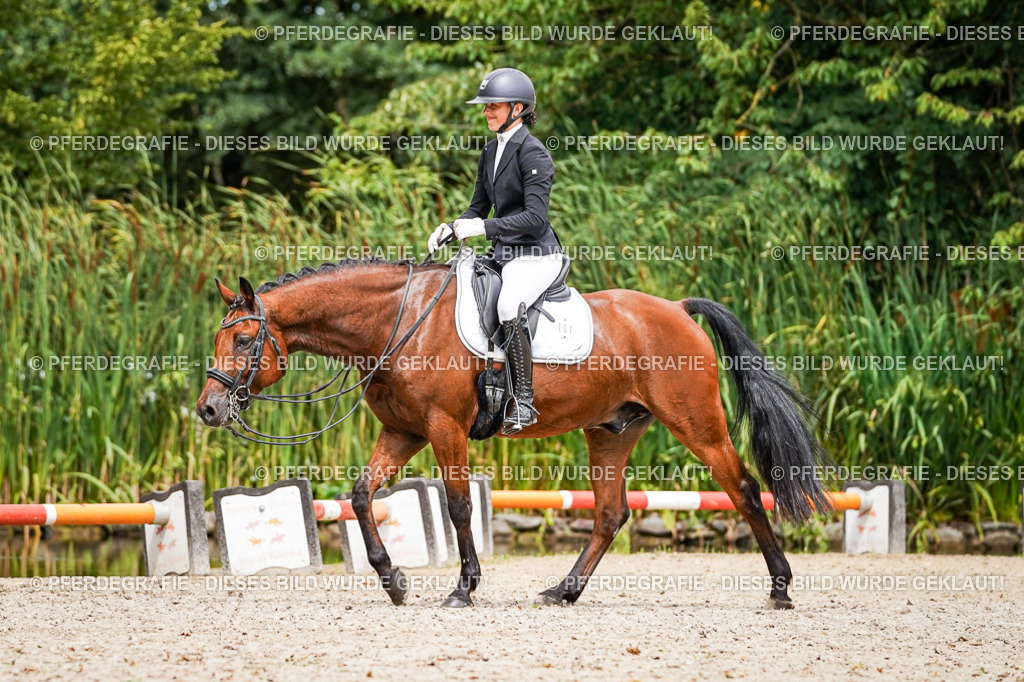 DSC03762 | Pferdegrafie