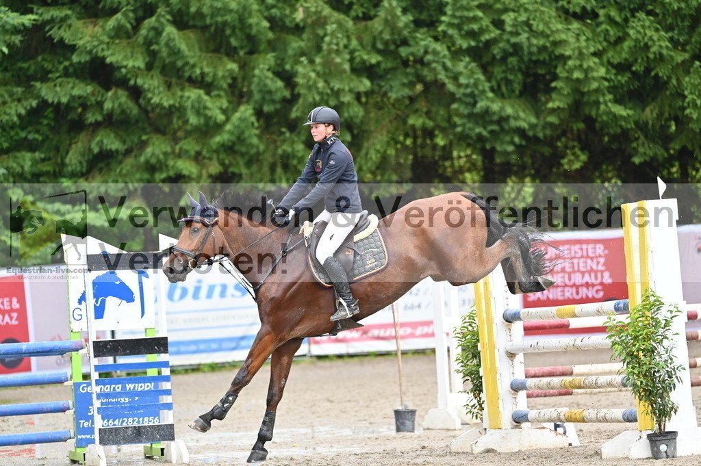 DSC_5238 | equestrian-live-com
