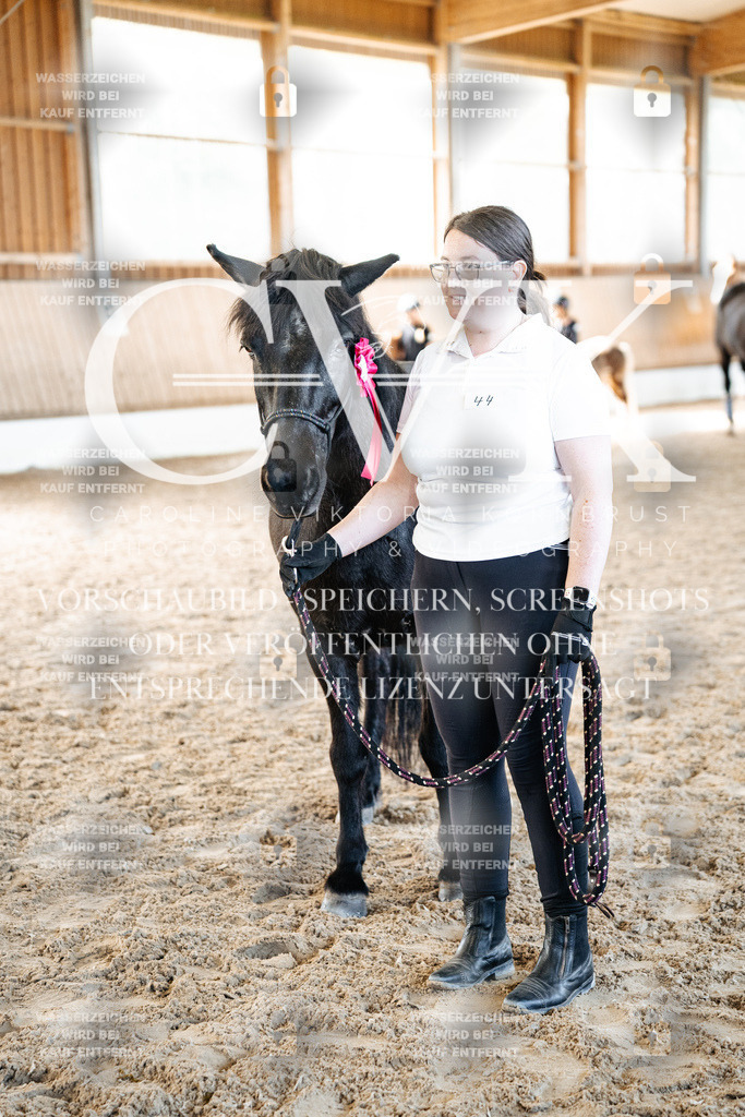 CK703186 | Turnierfotografie Pferdefotografie Trier Rheinland-Pfalz Pferdesport Reitsport Tierfotografie Sportfotografie Pferdevideo Pferdevideografie Equestrianvideography equestrianphotography  - Realisiert mit Pictrs.com