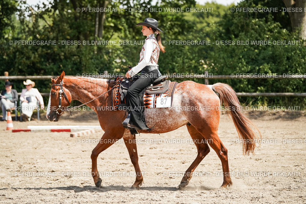 DSC07711 | Pferdegrafie