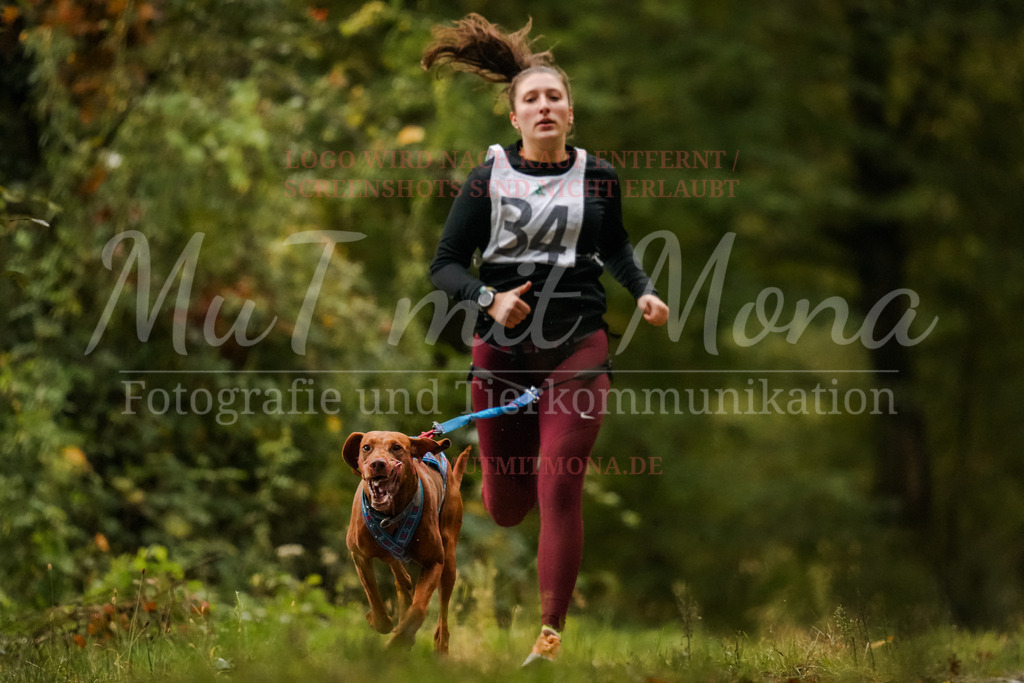 20251005_THS_Turnier-40 | MuT (Mensch und Tier) mit Mona - Fotografie und Tierkommunikation - Realisiert mit Pictrs.com