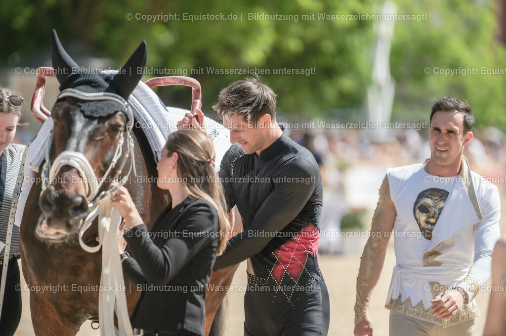 20230528_Voltigieren_NASPA_0212 | equistock