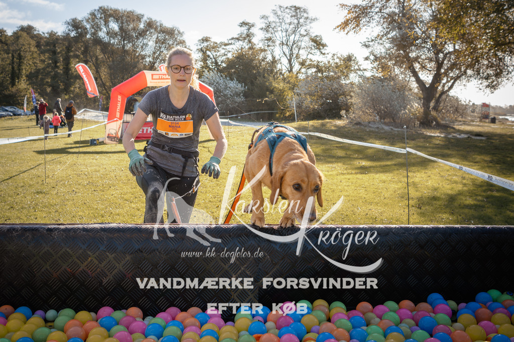 1058_ZZ91292 | kk-dogfotos