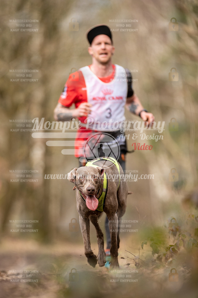 SPA_2023_SAM_CCL-12 | PayLife