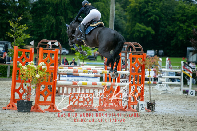 IMG_5791 | Turniersportfotografie; Pferdefotografie; Dressurfotografie