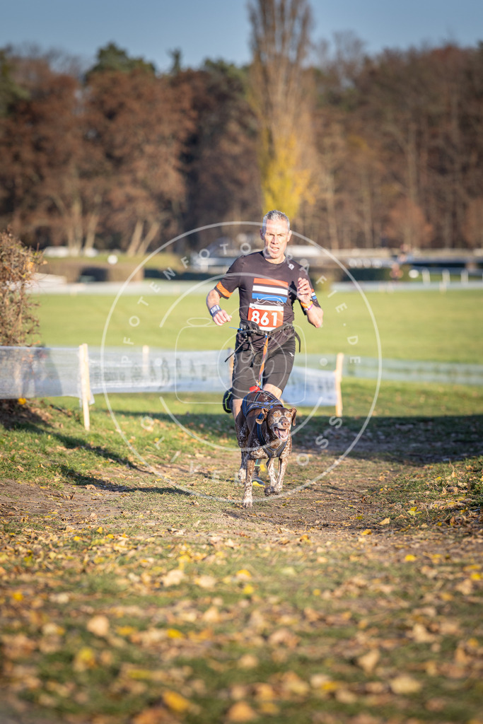 CaniXpix_DV3A4041 | Hundefotografie, Tierfotograf, Pfotenfotografie, Fotoshooting Hund, Hunde Portrait, Hundesport, Hundeportraits, Heideshooting, Hunde, Sportfotograf, Hundefotograf, Turnierhundsport, THS,  - Realisiert mit Pictrs.com