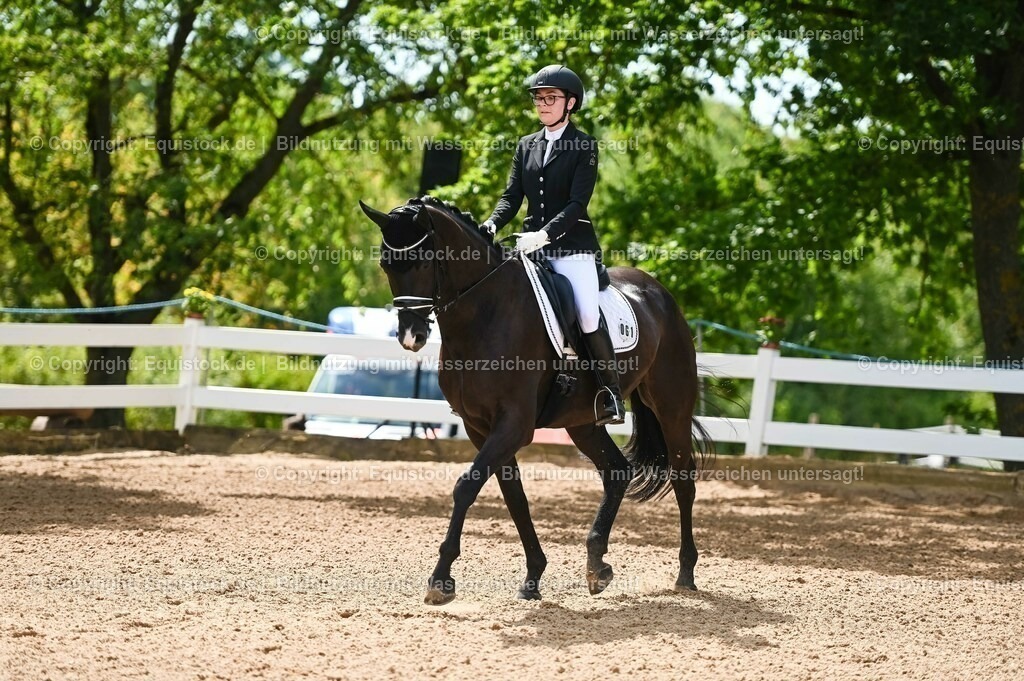 20230715_07_Dressurpferdeprfg. Kl.L_0183 | equistock