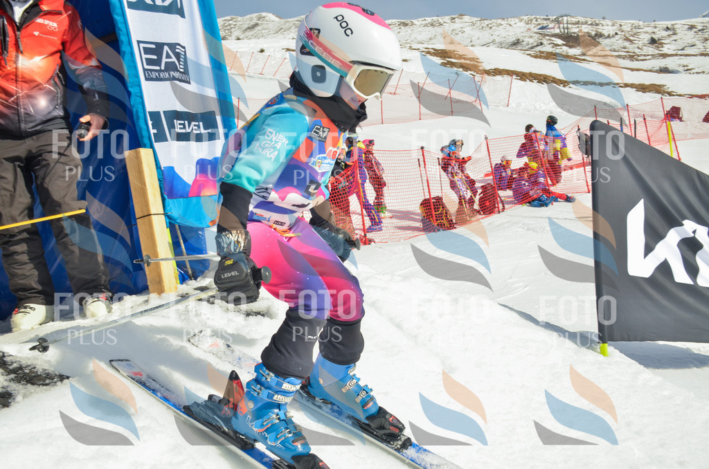 _ELE4635 | holidayphoto