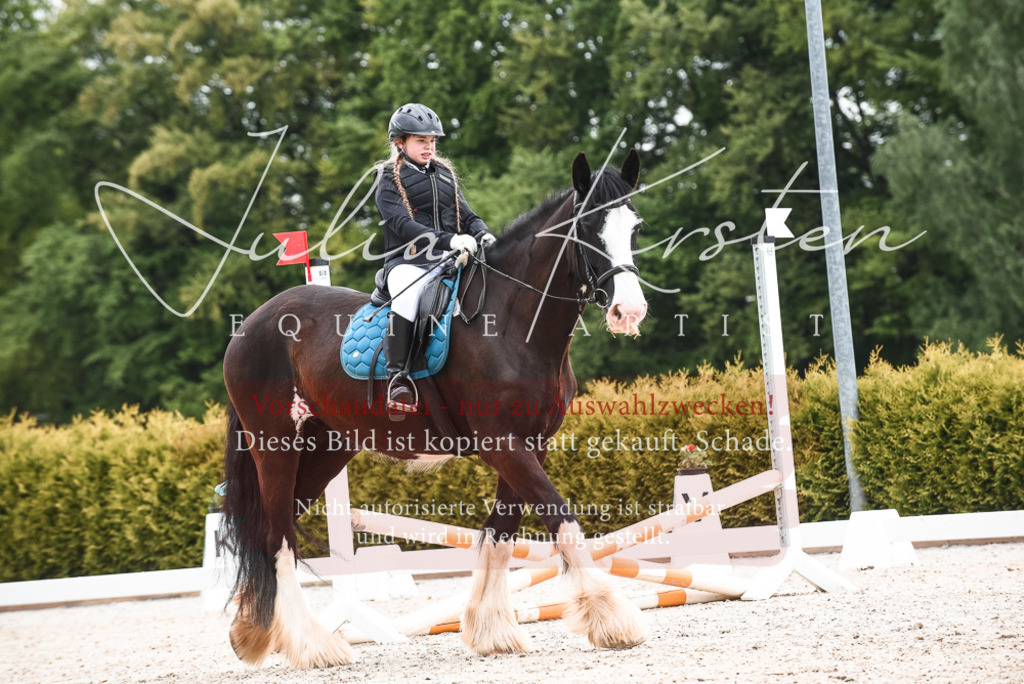 20230518_JK-Röhrsdorf-10-361 | Pferde- und Turnierfotografie in Westsachsen. Pferdeportraits, Auftragszeichnungen und intuitive Kunst.