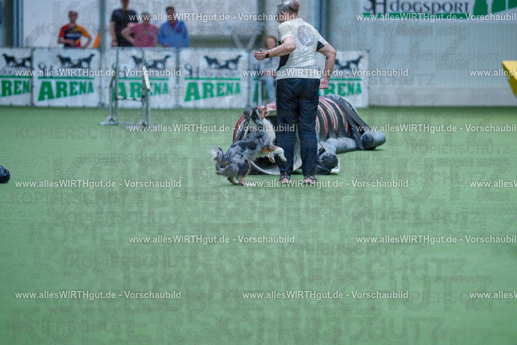 @allesWIRTHgut_Tierfotografie - www.allesWIRTHgut.de - 2604251443-7R505407 | Professionelle Tierfotografie in Mönchengladbach von Daniel Wirth (allesWIRTHgut). Liebevolle & natürliche Bilder von Hunden & Katzen für unvergessliche Erinnerungen.