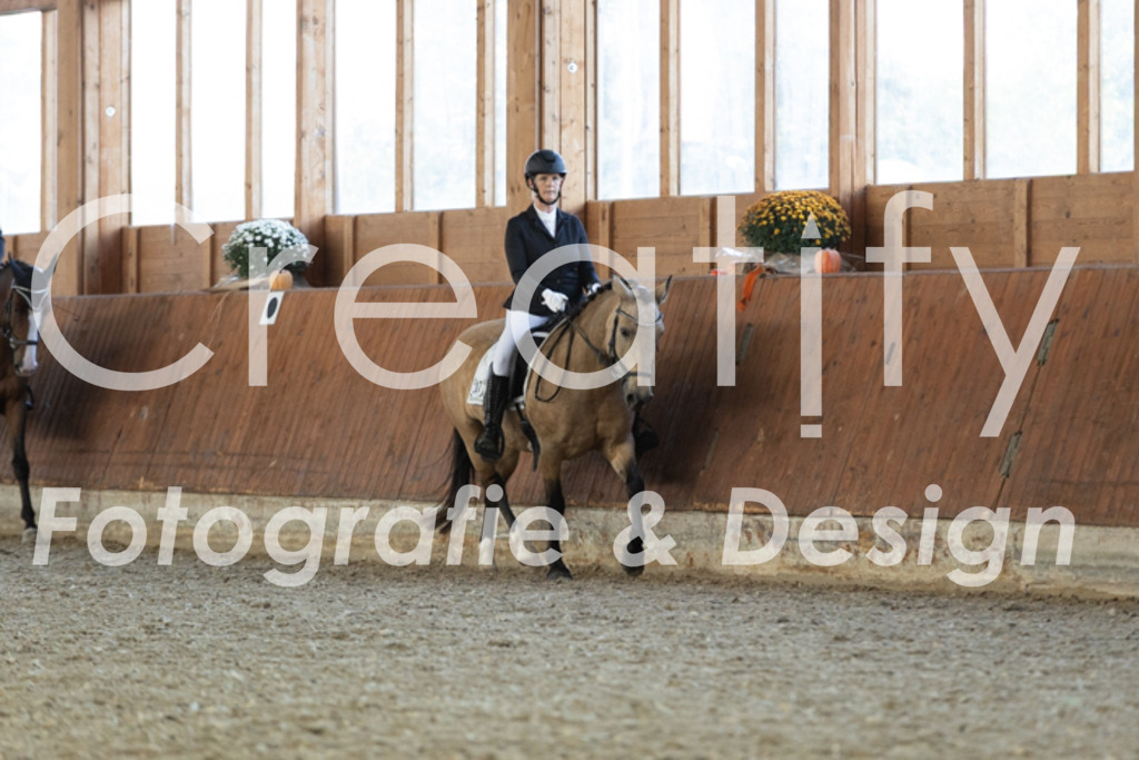 IMG_5491 | Creatify Fotografie