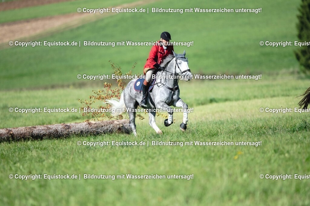 20251011_Jagd-Marbach_0222 | Foto: Thomas Hartig