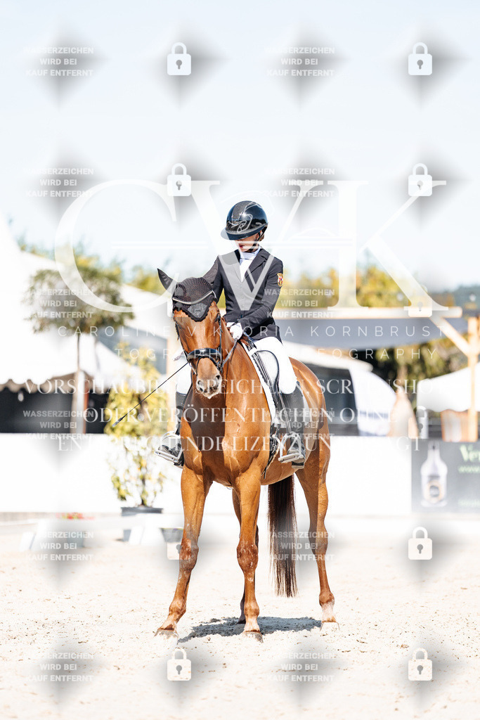 CK908629 | Turnierfotografie Pferdefotografie Trier Rheinland-Pfalz Pferdesport Reitsport Tierfotografie Sportfotografie Pferdevideo Pferdevideografie Equestrianvideography equestrianphotography  - Realisiert mit Pictrs.com