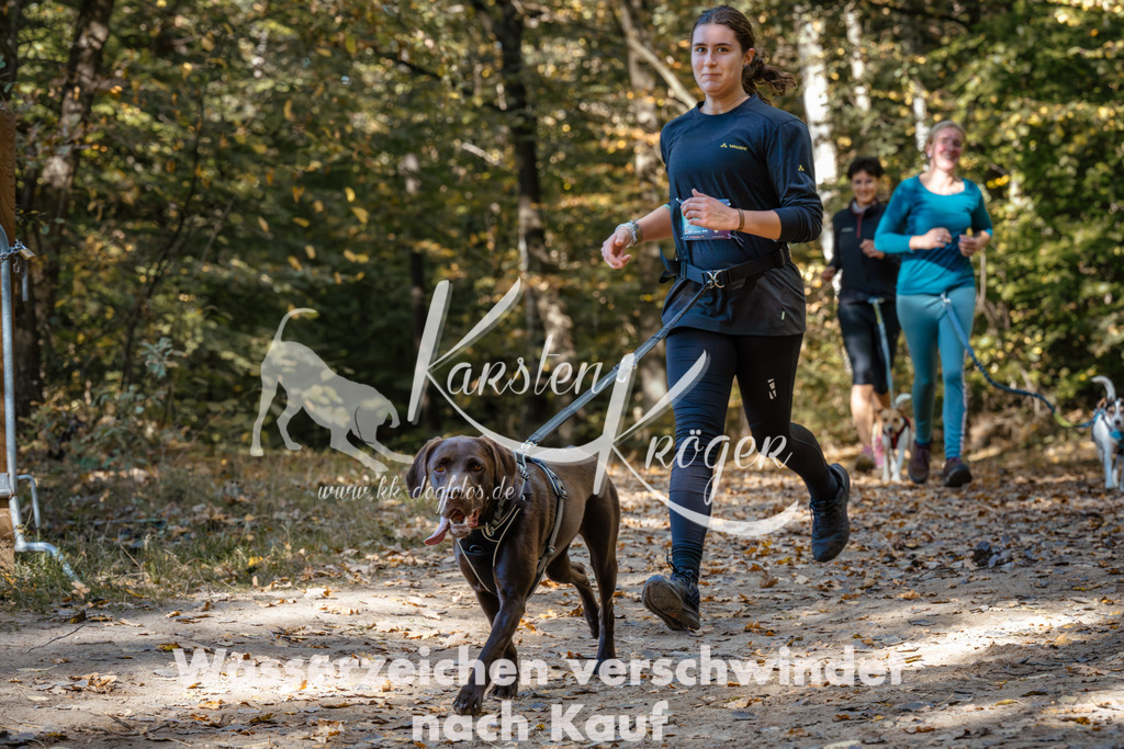1229_ZZ95349 | kk-dogfotos