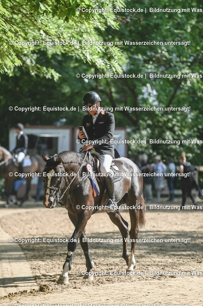 D78_3635 | equistock