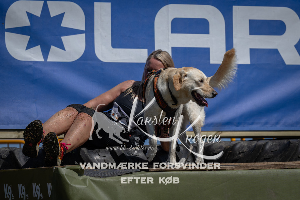 1226_ZZ95202 | kk-dogfotos