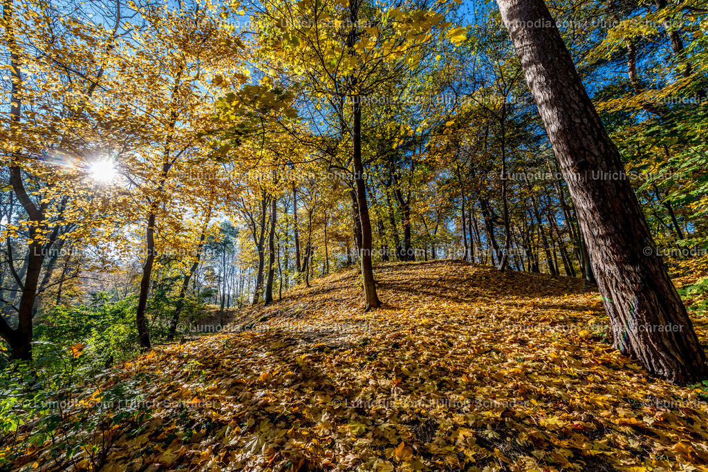 10049-4644 - Landschaftspark Spiegelsberge | Stockfoto und Bilderpool mit Bildmaterial aus Deutschland, dem Harz, Halberstadt, Quedlinburg, Wernigerode und weltweit. Qualitativ hochwertige und professionelle Fotos anschauen und kaufen. - Realisiert mit Pictrs.com