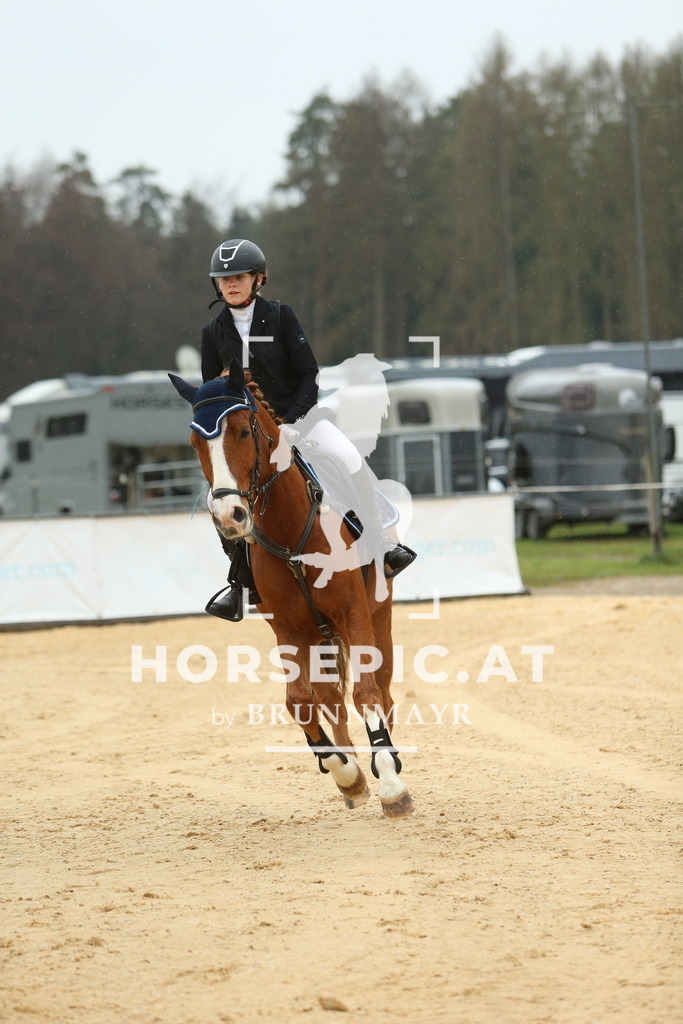 DL2Q1021 | Willkommen bei Brunnmayr - Design & Fotografie – Ihrem Spezialisten für Reitturniere und Pferdeveranstaltungen in Oberösterreich, Salzburg und Bayern! Seit über 17 Jahren sind wir leidenschaftlich dabei.