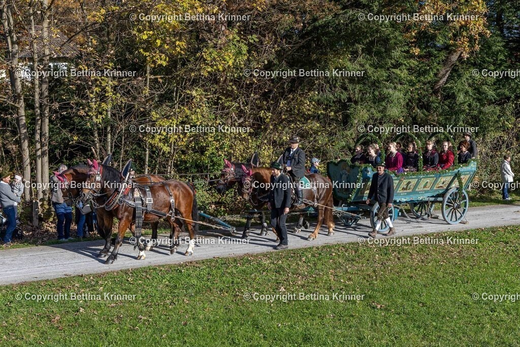 LBT24-938 | foto-bettina-krinner - Realisiert mit Pictrs.com