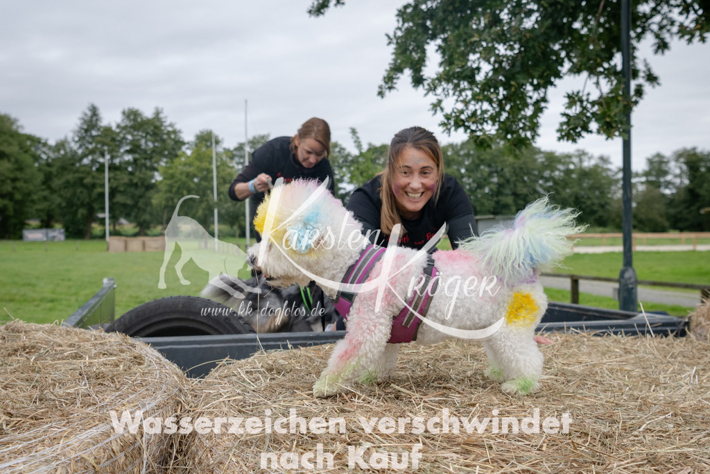 1209_ZZ94528 | kk-dogfotos