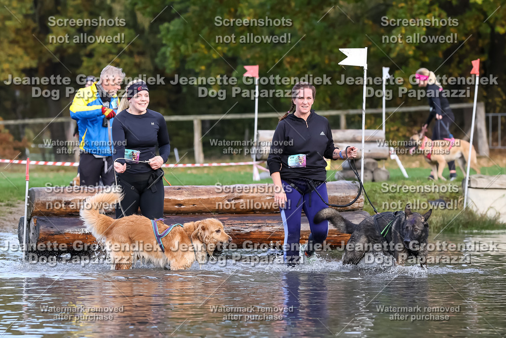 Dog Paparazzi - Strongdog 10-25-6968 | Dog Paparazzi Jeanette Grottendiek Fotografie & Videografie - Realisiert mit Pictrs.com