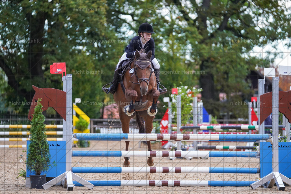 20221009-FAH08240 | Diessen am Ammersee, 2022, Dressur- und Springturnier, Reitsportbilder, Turnierfotografen Bayern, Pferdefotografen, Fotoagentur Herrmann, Turnierbilder