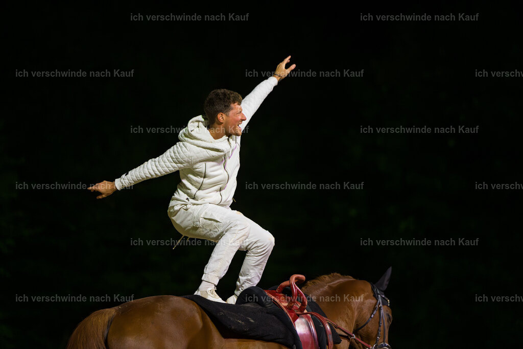 Gala-259 | working equitationturnier fotograf videograf stoibphotography marixx film working equitation deutschland reitsport turnierfotografie eventfotografie equestrian events