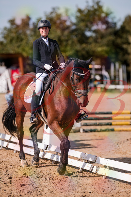 2026_10_03_Siefer-Hof_130039_Z81_51667307 | Professionelle Reitsport-, Turnier- und Eventfotografie von Robert Broda. Galerien mit ausgewählten und bearbeiteten Bildern direkt online ansehen und bestellen.