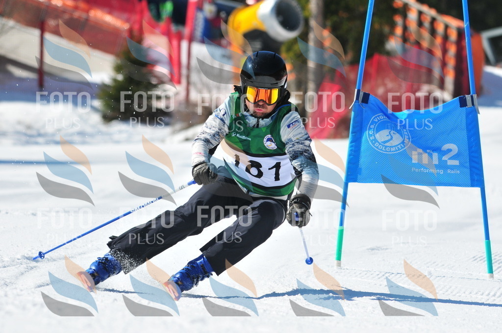 C4299 | holidayphoto