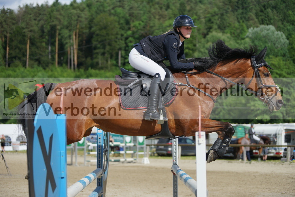DSC08450 | equestrian-live-com