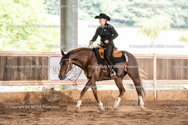 Erbach Tag 1-727 | dv-media-shop - Realized with Pictrs.com