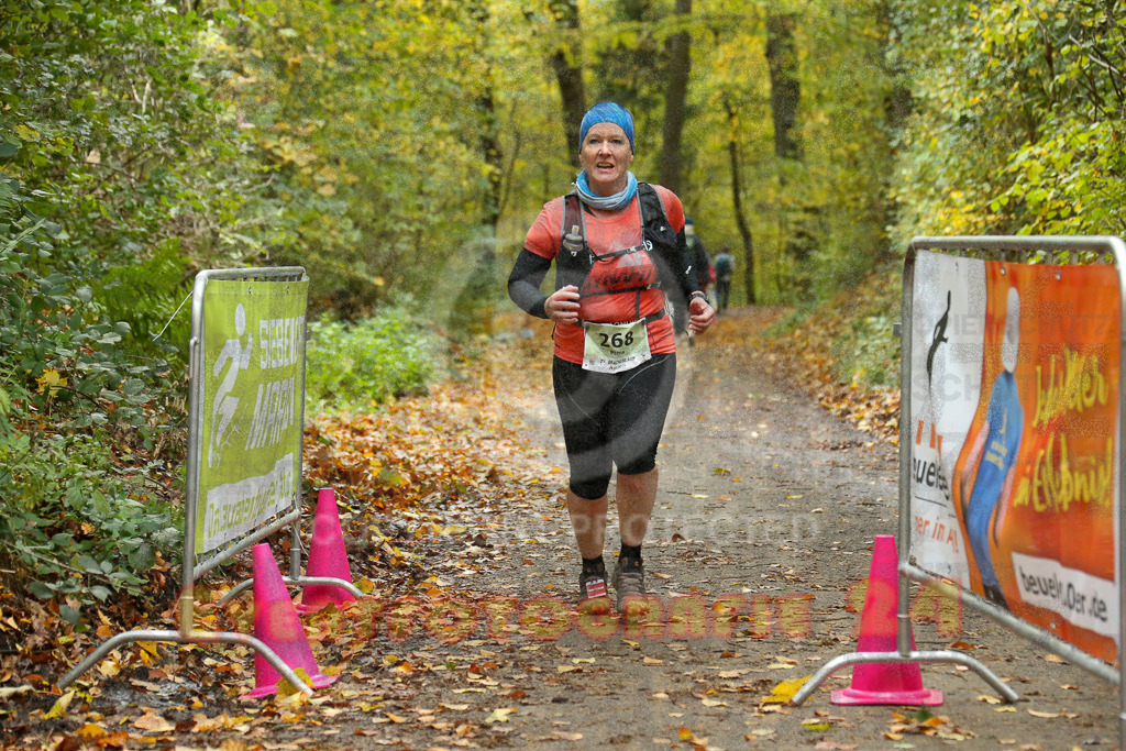 251026_1406_EX1_4102 | Sportfotografie im Rhein-Sieg Kreis, Köln, Bonn, NRW, Rheinland Pfalz, Hessen, etc. Unser Tätigkeitsfeld umfasst den Laufsport vom Volkslauf über den Marathon, Duathlon, Triathon bis zum Ultralauf wie Kölnpfad Ultra oder Schindertrail.