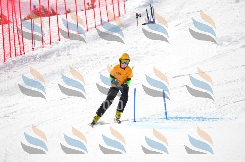 C8019 | holidayphoto