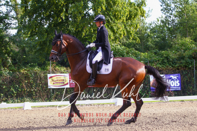 DKP41378 | Turniersportfotografie; Pferdefotografie; Dressurfotografie