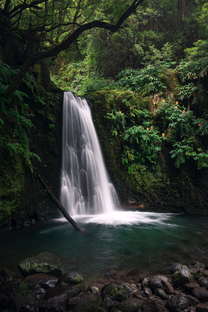 Versteckt im Dschungel – Salto do Prego auf São Miguel | Tief im grünen Dschungel von São Miguel liegt der Salto do Prego, eingebettet in eine wilde, moosige Kulisse. Umgeben von Farnen, Felsen und dichtem Blattwerk stürzt das Wasser in ein stilles, klares Becken. Nur das sanfte Rauschen durchbricht die Stille. Dieser Ort wirkt wie ein geheimnisvolles Paradies – ursprünglich, unberührt und voller Leben. - Realisiert mit Pictrs.com