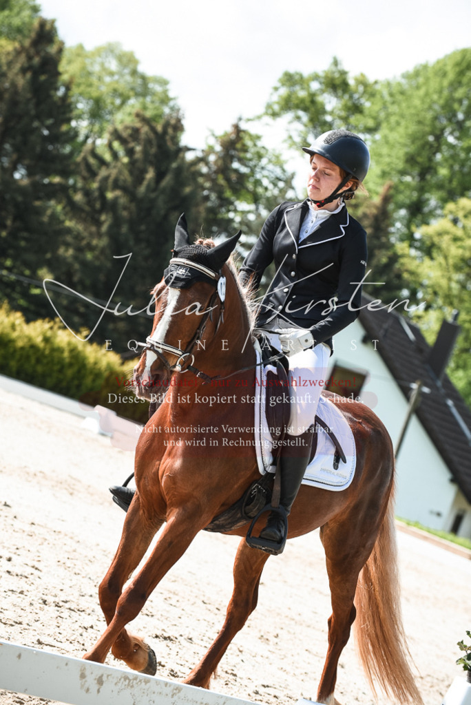 20230518_JK-Röhrsdorf-09-1528 | Pferde- und Turnierfotografie in Westsachsen. Pferdeportraits, Auftragszeichnungen und intuitive Kunst.