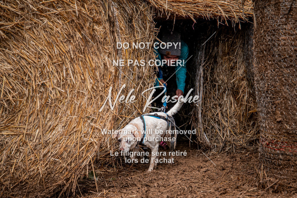 nelerasche_Hunsrück_So09-11_152 | nelerasche