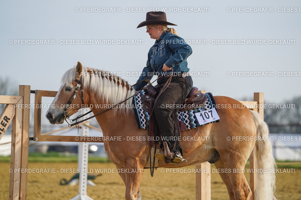 DSC00384 | Pferdegrafie