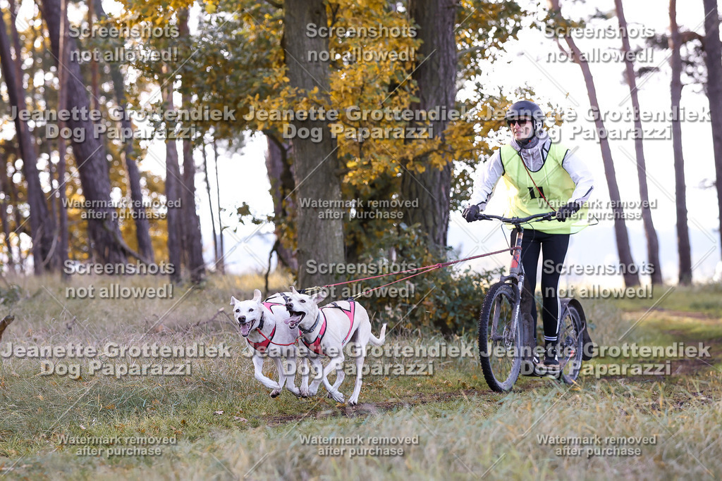 Dog Paparazzi - Elsholz 25 -67 | Dog Paparazzi Jeanette Grottendiek Fotografie & Videografie - Realisiert mit Pictrs.com
