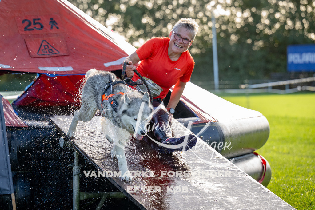 1101-91756 | kk-dogfotos