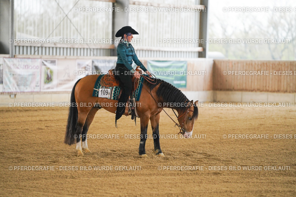 DSC08467 | Pferdegrafie