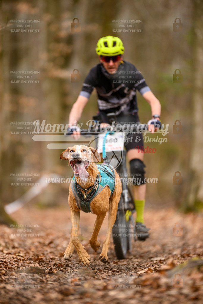 MompixPhotography_Habay2025_SA_Bike-39 | PayLife