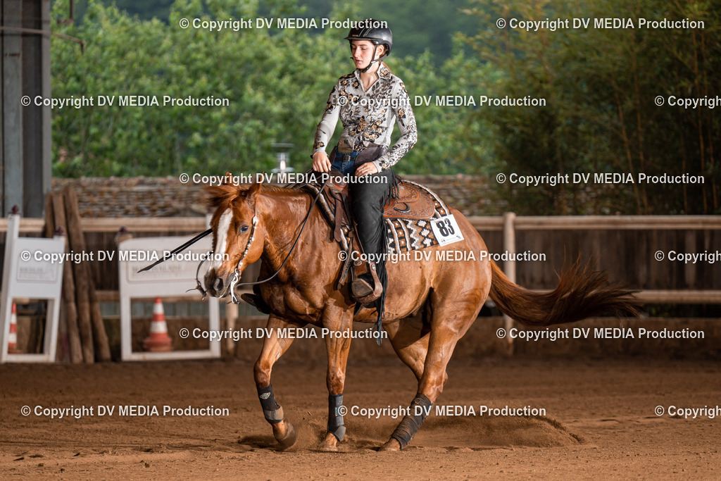 Erbach Tag 3-869 | dv-media-shop - Realisiert mit Pictrs.com