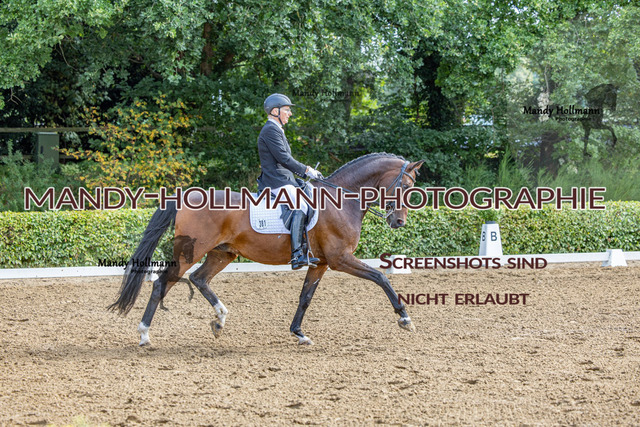 16.8.25 D1 DRE M-158 | mandyhollmannphotographie