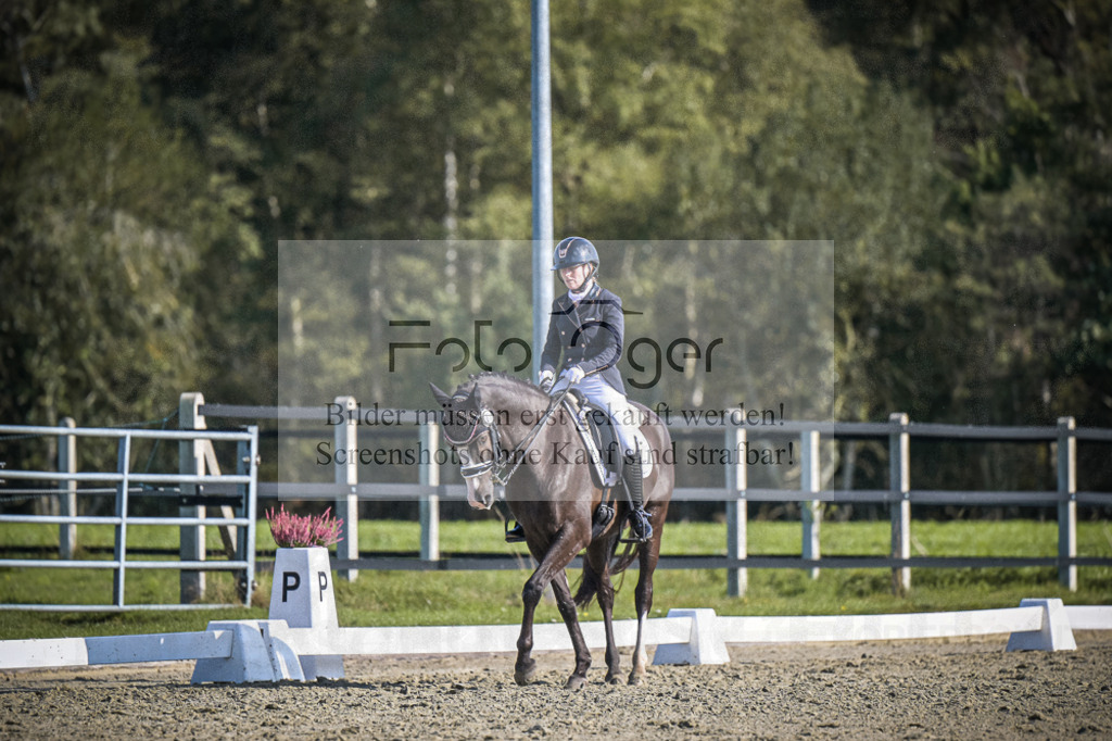 DOS_3219 | Entdecke hochwertige Reitturnierfotos von Foto Oger. Professionell, emotional und authentisch – jetzt Lieblingsmomente im Shop bestellen.Deutschlandweite Turnierfotografie. - Realisiert mit Pictrs.com