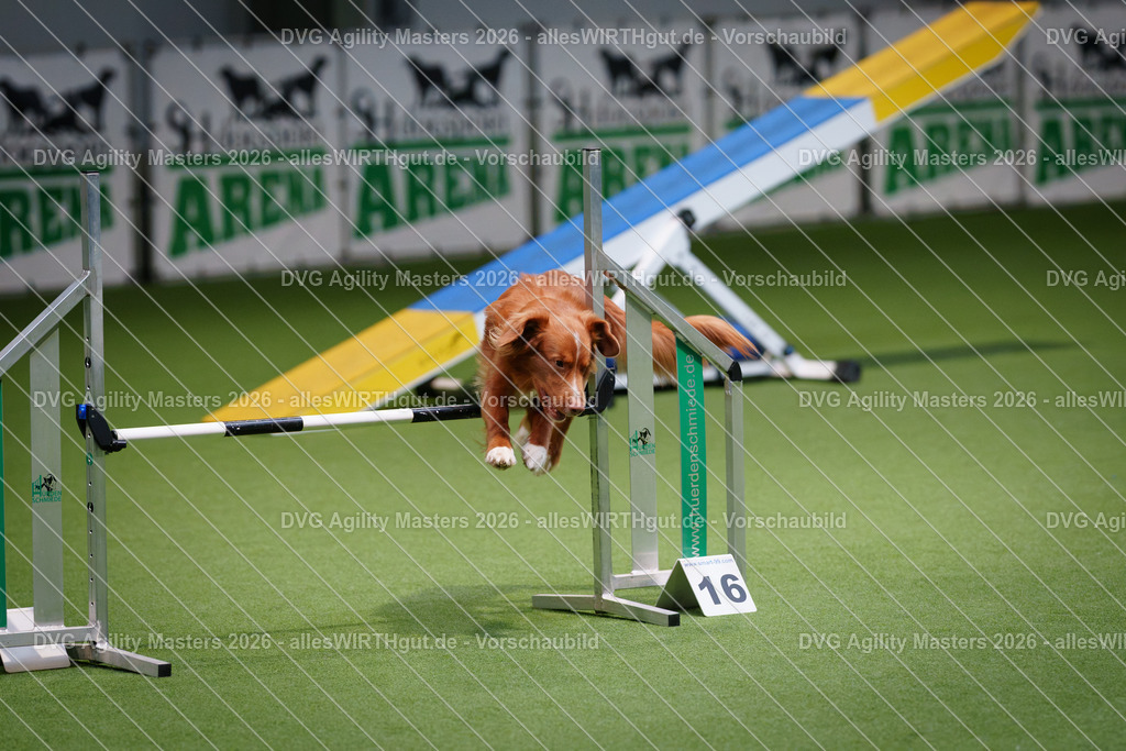 allesWIRTHgut_Tierfotografie-DVG_Agility_Masters_2026-15_50-7R502959 | Professionelle Tierfotografie in Mönchengladbach von Daniel Wirth (allesWIRTHgut). Liebevolle & natürliche Bilder von Hunden & Katzen für unvergessliche Erinnerungen.