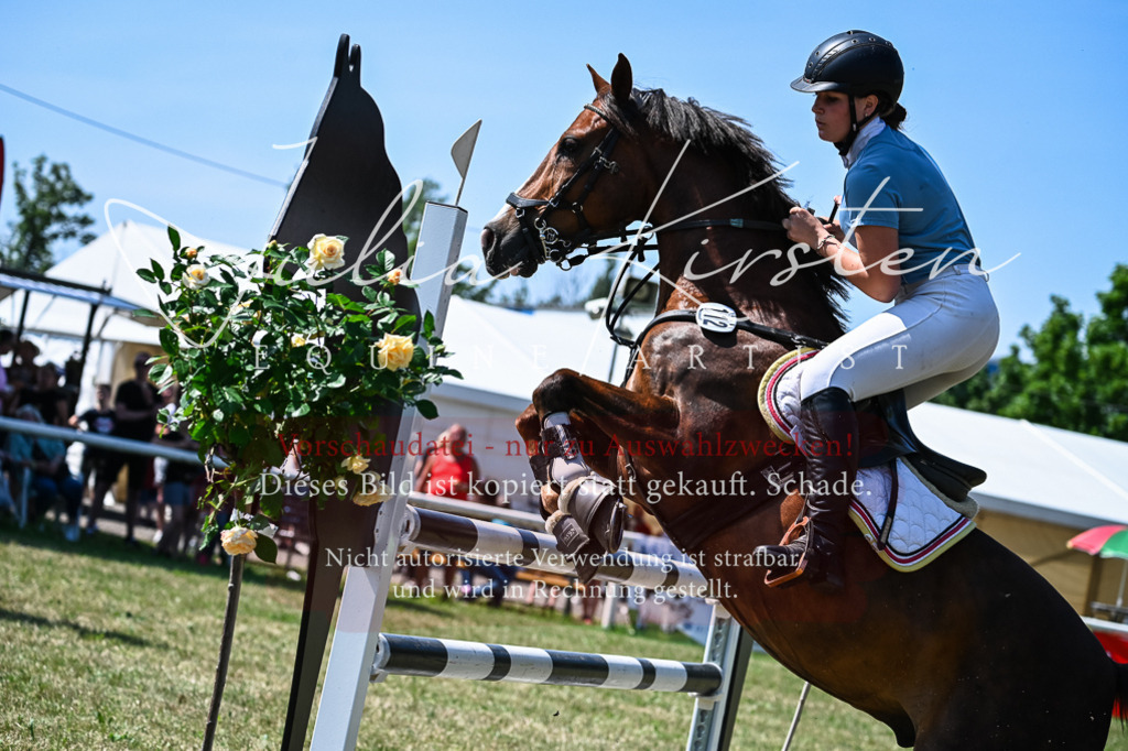 DSC_0950 | Pferde- und Turnierfotografie in Westsachsen. Pferdeportraits, Auftragszeichnungen und intuitive Kunst.